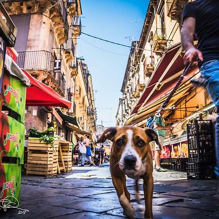 Frida - One-Bedroom Apartment By Piazza Duomo カターニア エクステリア 写真